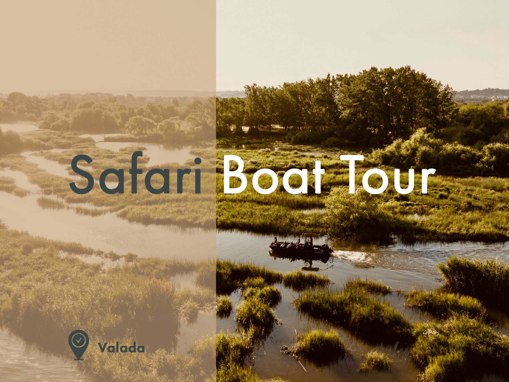 Safari Boat Tour