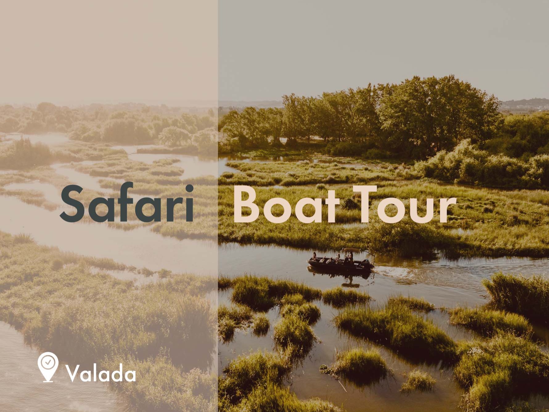 Safari Boat Tour