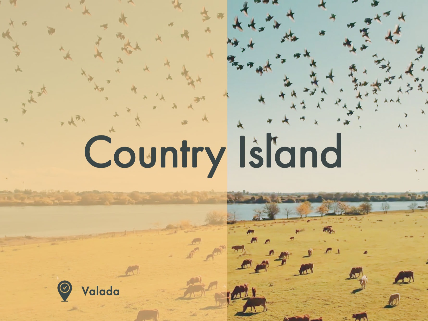 Country Island