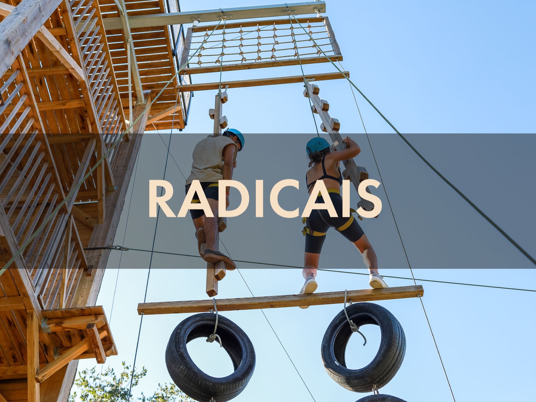 Radicais