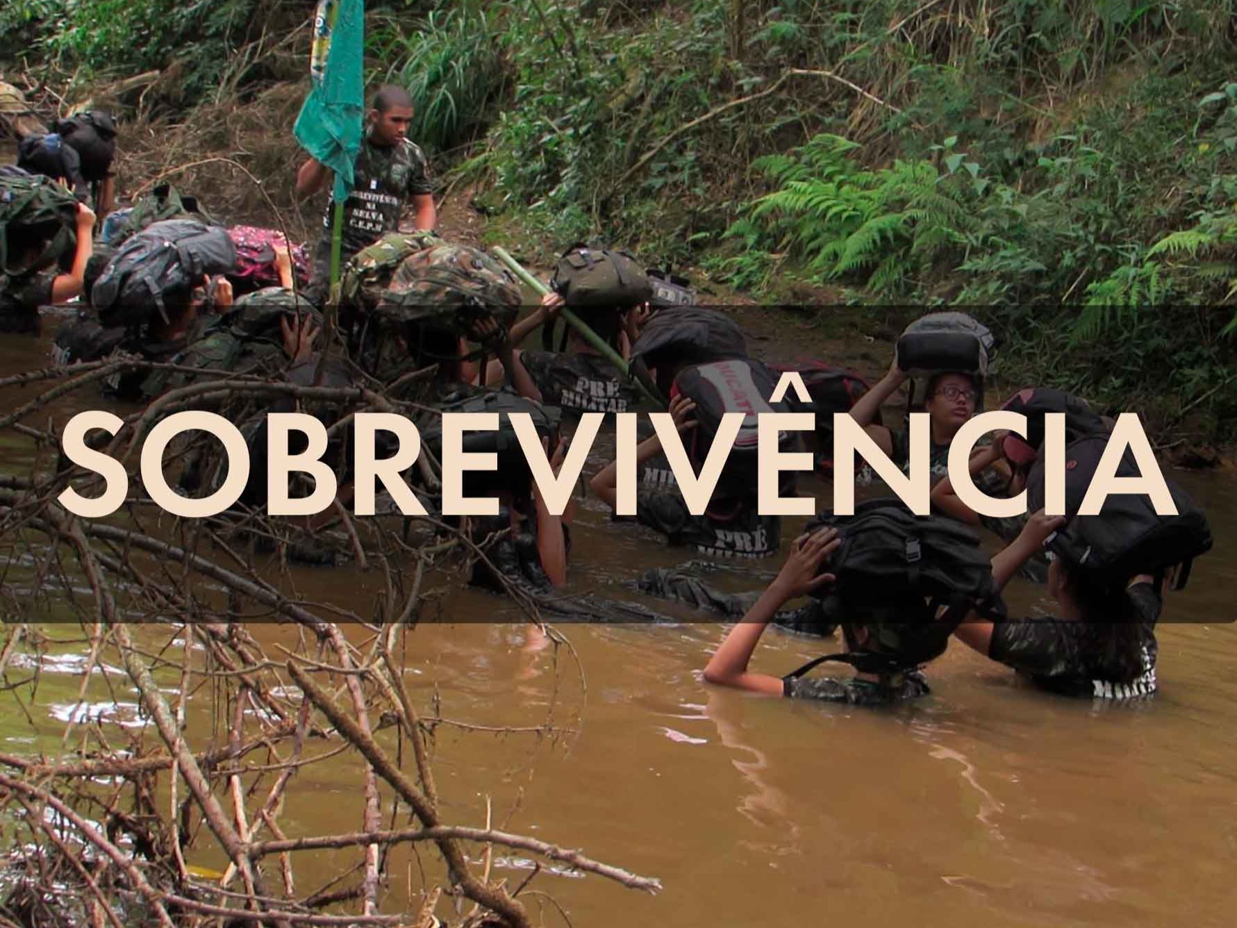 Sobrevivência